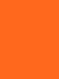 [816-3065] Burmilana 12 CO 1000m Orange 3065