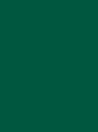 [V901-4370] RheinGold Rayon 40 5000m Green 4370