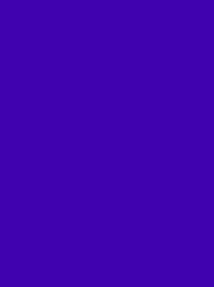 [V901-4366] RheinGold Rayon 40 5000m Violet 4366