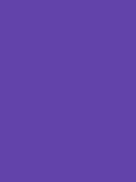 [V901-4322] RheinGold Rayon 40 5000m Purple Special 4322