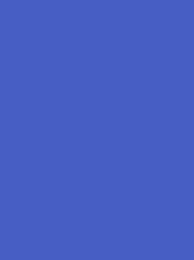 [V901-4296] RheinGold Rayon 40 5000m Blue 4296