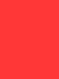 [V901-4037] RheinGold Rayon 40 5000m Red 4037