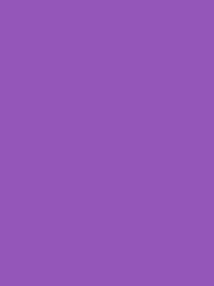 [V901-4033] RheinGold Rayon 40 5000m Purple 4033
