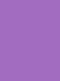 [V901-4032] RheinGold Rayon 40 5000m Purple 4032
