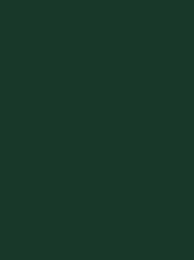 [NI918-1902] Polyneon 40 5000m Dark Green 1902