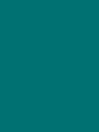 [NI918-1890] Polyneon 40 5000m Turquoise 1890