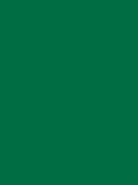 [NI918-1851] Polyneon 40 5000m Green 1851