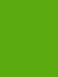 [NI918-1901] Polyneon 40 5000m Fluor Green 1901