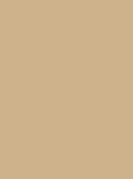 [NI918-1884] Polyneon 40 5000m Dark Cream 1884